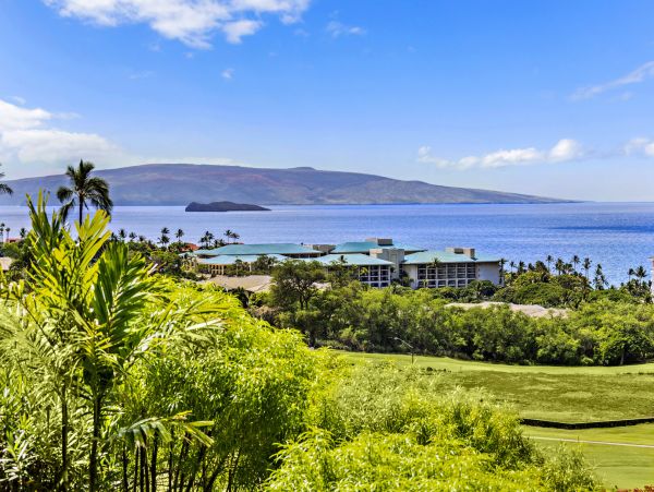 Wailea Home 1055586