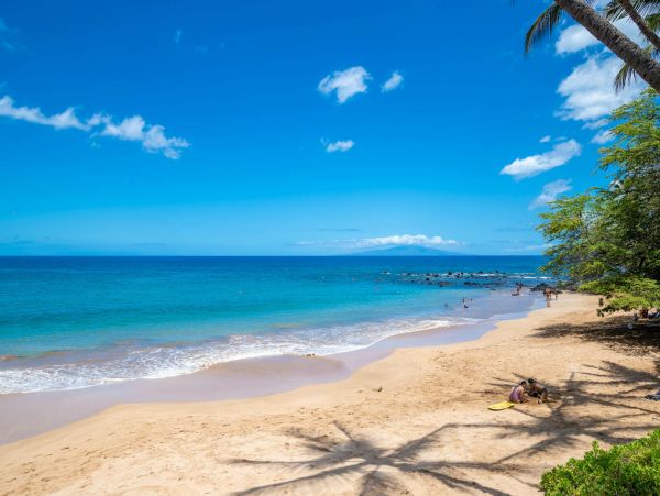 Wailea Home 1055586