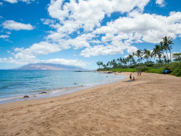 Wailea Home 1055586