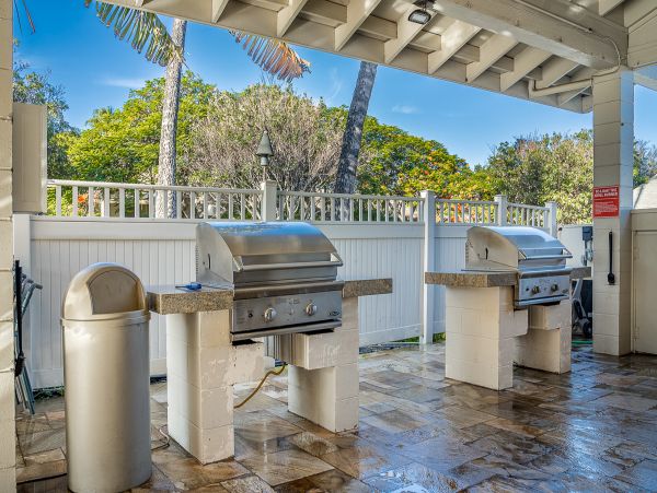 Wailea Home 1055588