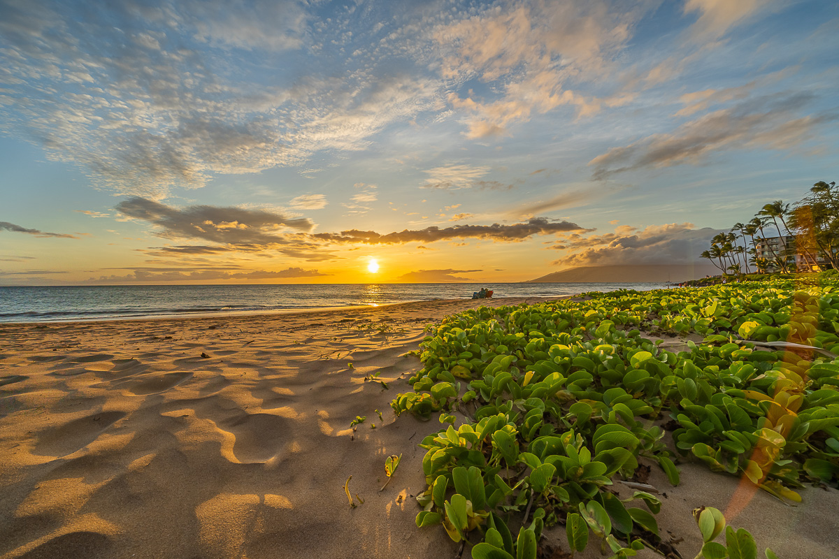 Wailea Home 1055588