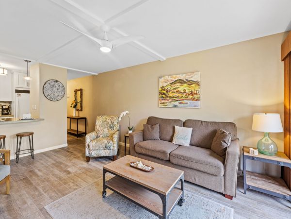 Wailea Home 1055589