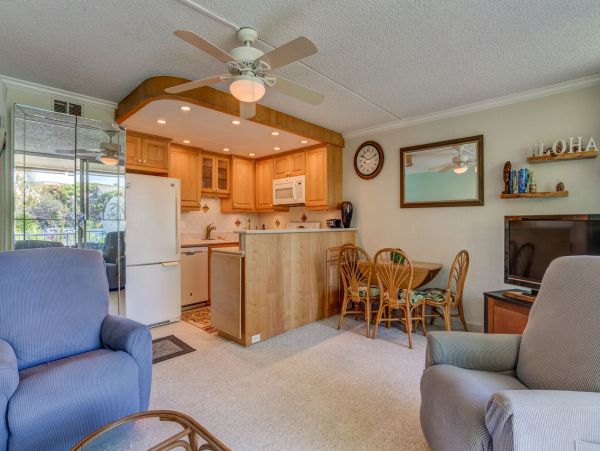 Wailea Home 1055590