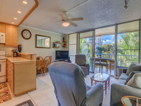 Wailea Home 1055590