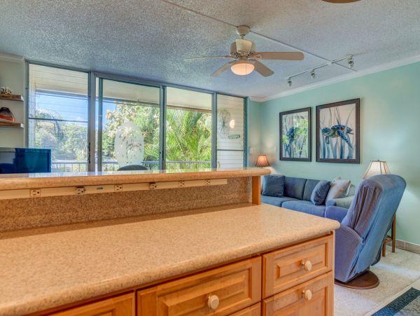Wailea Home 1055590