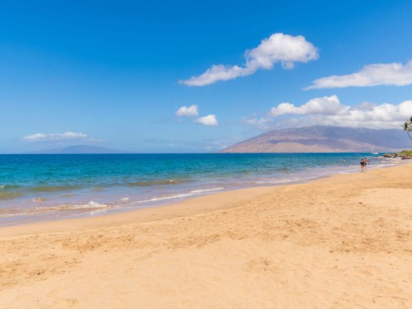 Wailea Home 1055590