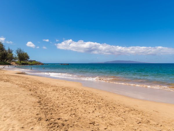 Wailea Home 1055590