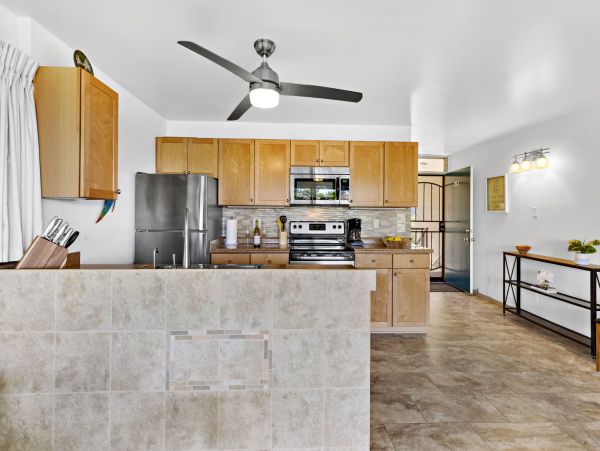 Wailea Home 1055591