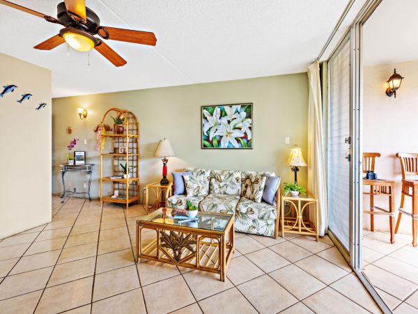 Wailea Home 1055592
