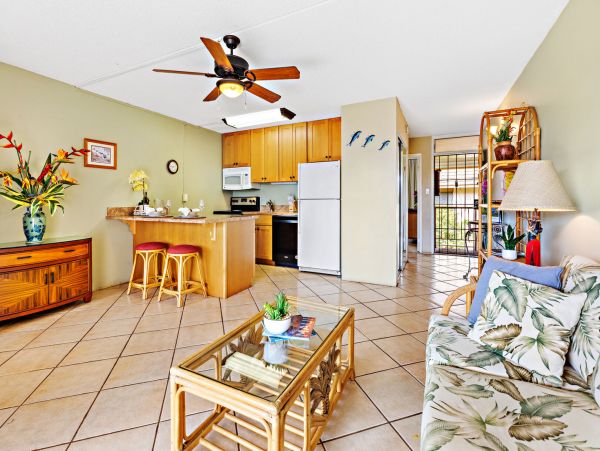 Wailea Home 1055592