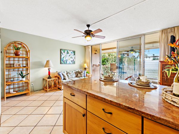 Wailea Home 1055592