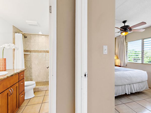 Wailea Home 1055592