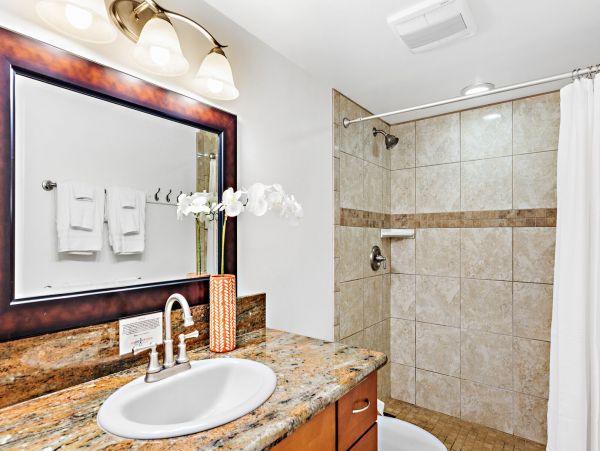 Wailea Home 1055592