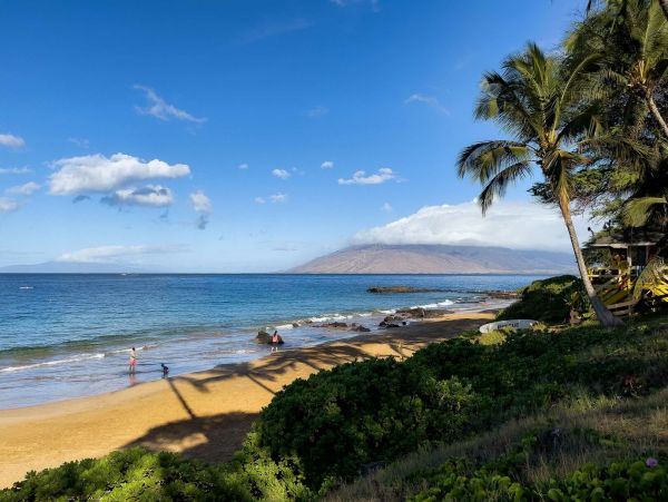 Wailea Home 1055593