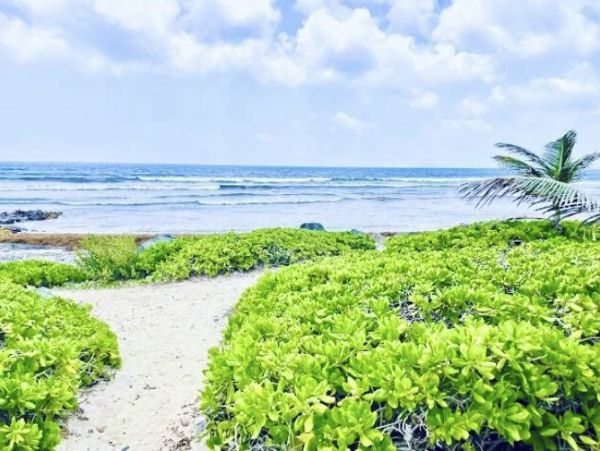 St. Croix Vacation Condo Two Bedroom On Beach