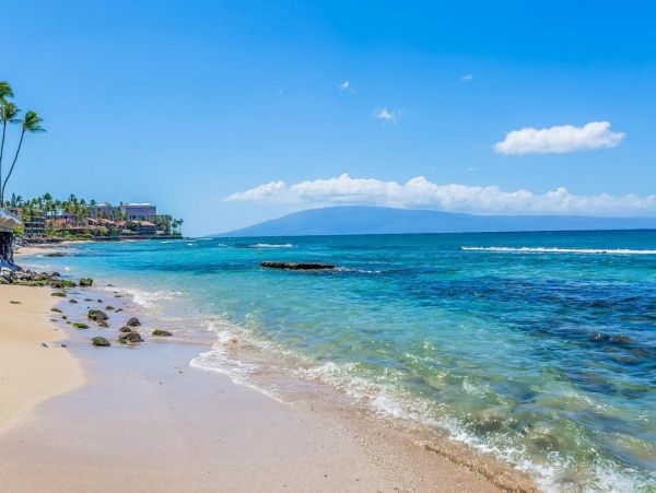Beachfront Single-Level Vacation Rental with Full Ocean Views