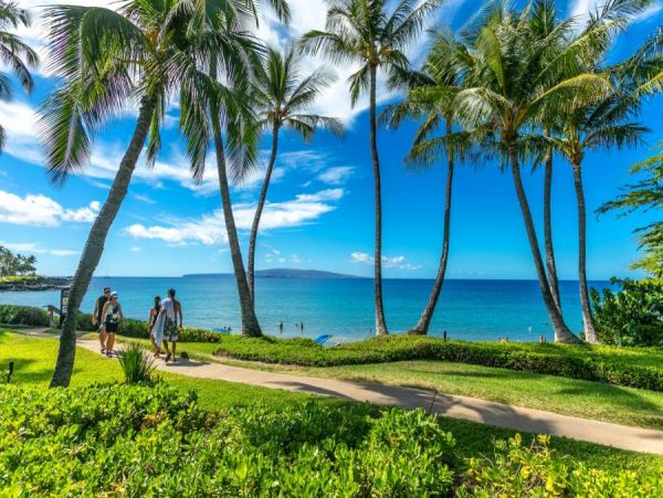 Wailea  Maui Condo 1055669