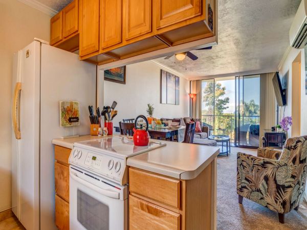 Two Bedroom Partial Ocean View Condo