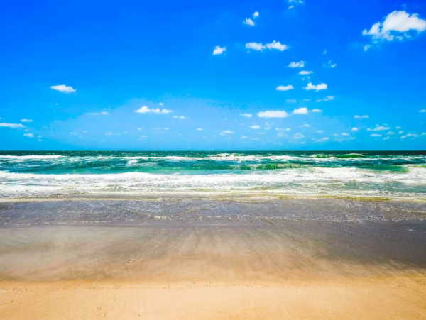 Lovely 2 Bedroom Condo Short Walk to Beach