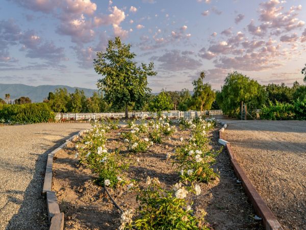 Modern Country Valley Estate with 3 Bedrooms in Santa Ynez