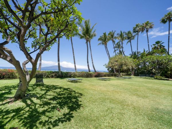 Oceanfront Lahaina Vacation Condo One Bedroom