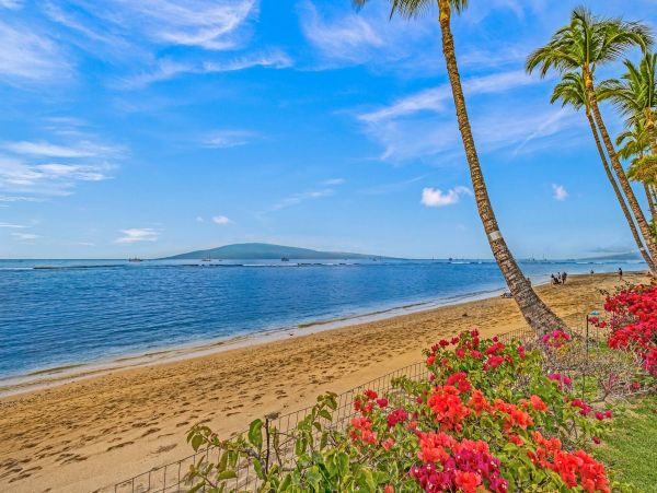 Oceanfront Lahaina Vacation Condo One Bedroom