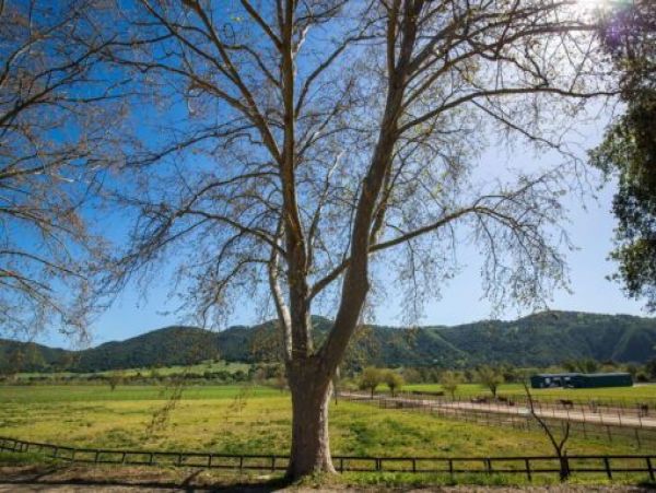 Solvang Vacation Bungalow Two Bedroom