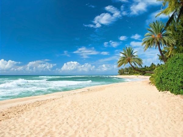 Oceanfront Kihei Vacation Condo Two Bedroom