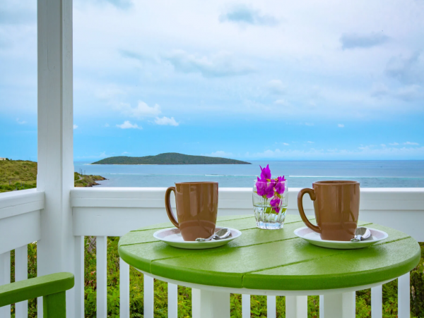 St. Croix Vacation Villa with Amazing Ocean Views Sleeps 8