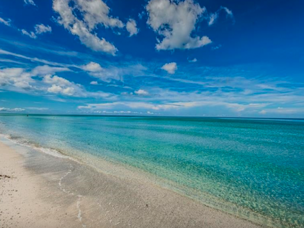 Indian Shores Vacation Condo One Bedroom On Beach