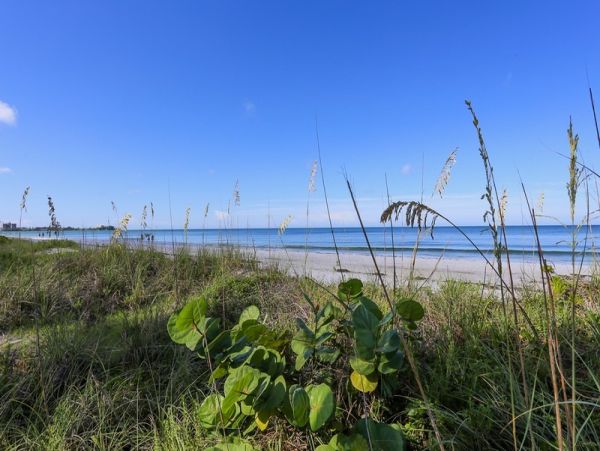 Lido Key Condo 1057864