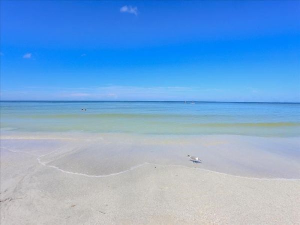 Lido Key Condo 1057866