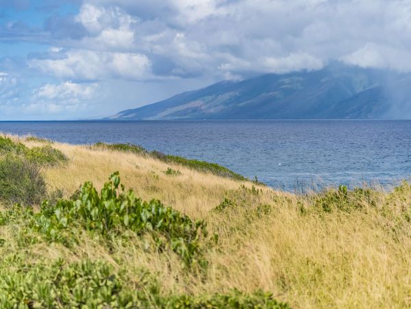 Kapalua Vacation Condo One Bedroom Oceanviews