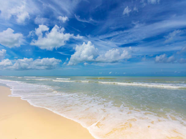 Elegant 3-Bedroom Beachside Condo Retreat