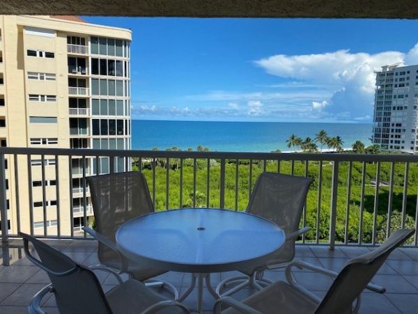 Naples Condo 1058314