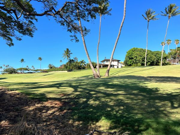 Lovely Three Bedroom Vacation Home in Kaanapali with Shared Pool