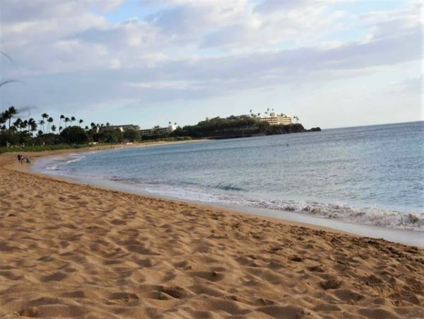 Lovely Three Bedroom Vacation Home in Kaanapali with Shared Pool