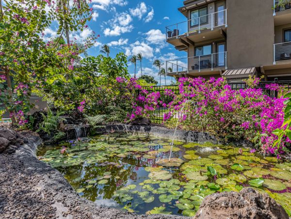 Wonderful 3 Bedroom Vacation Beach Home in Kihei