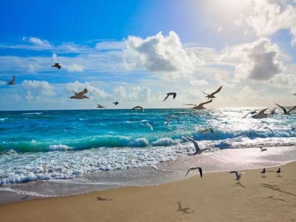 Oceanfront Vacation Home in Manasota Key Sleeps 6