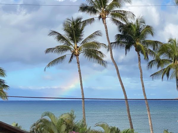 Kihei Vacation Pool Home Four Bedroom Walk to Beach