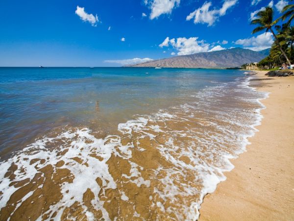 Kihei Vacation Pool Home Four Bedroom Walk to Beach
