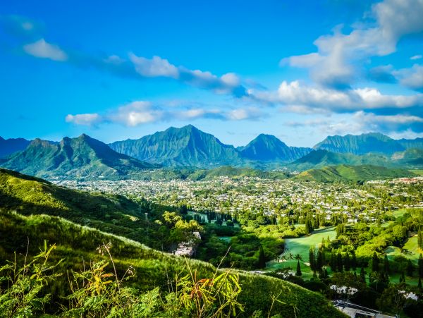 Honolulu Diamond Head Kahala Home 1058689