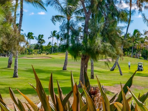 Honolulu Diamond Head Kahala Home 1058698