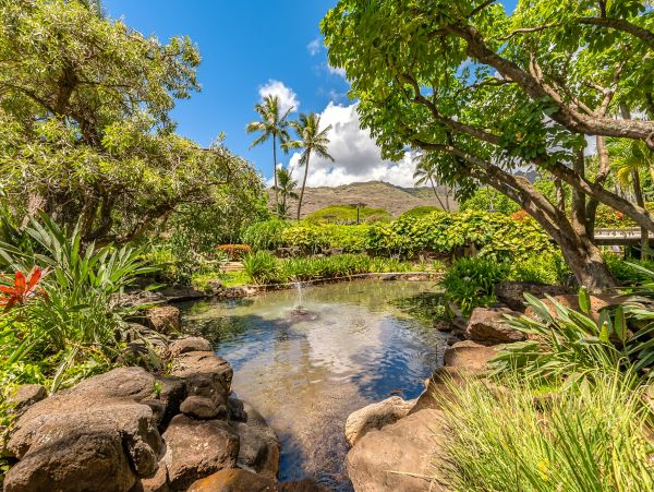 Honolulu Diamond Head Kahala Home 1058699