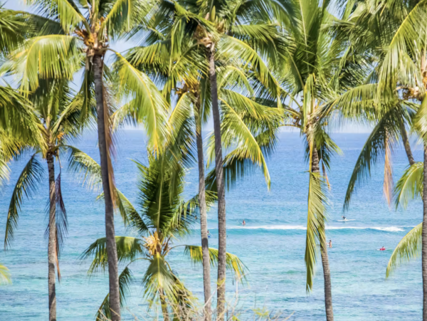 Three Bedroom Luxury Condo Rental - Kona Vacation Rental with Infinity Pool & Lanai