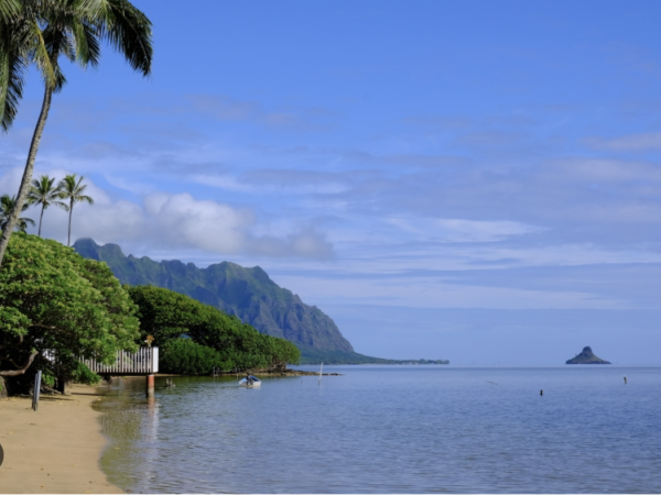 Three Bedroom Luxury Condo Rental - Kona Vacation Rental with Infinity Pool & Lanai