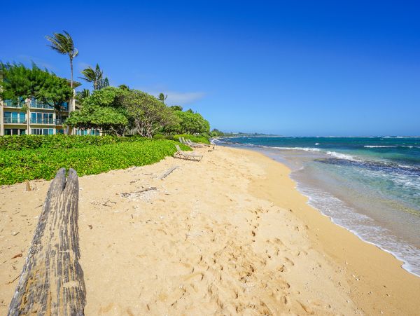 Kapaa Luxury Vacation Rental  Kauai Oceanview Condo on Coconut Coast