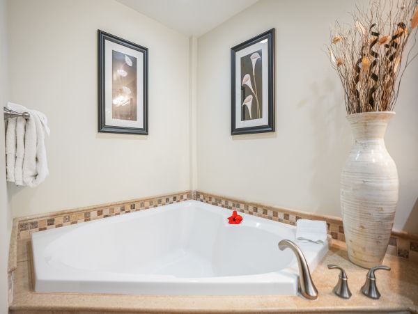 Kapaa Luxury Vacation Rental  Kauai Oceanview Condo on Coconut Coast
