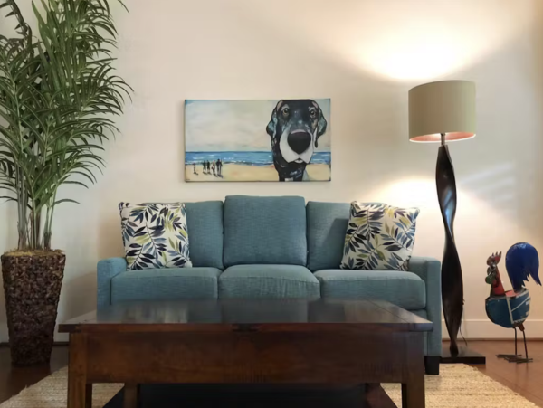 Kauai Delight Amazing  Vacation Rental