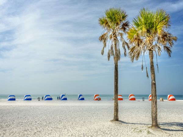 Clearwater Charming 3 Bedroom Vacation Cottage Close to Beach